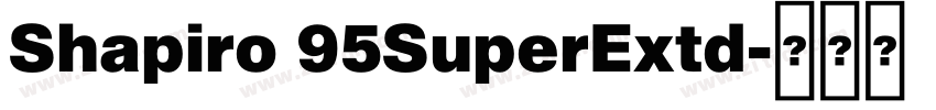 Shapiro 95SuperExtd字体转换 Shapiro 95SuperExtd字体转换